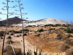 Guía del Parque Natural Cabo de Gata-Níjar (San José) Detapasconchencho