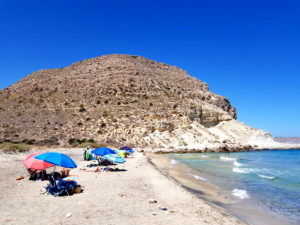 Guía del Parque Natural Cabo de Gata-Níjar (San José) Detapasconchencho