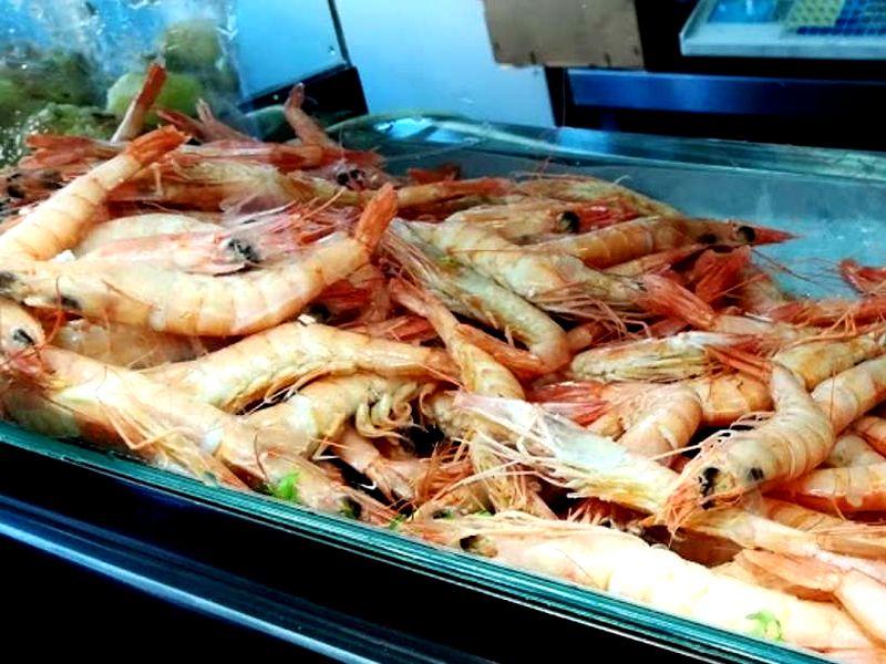 Puerto Tomares. Detapasconchencho