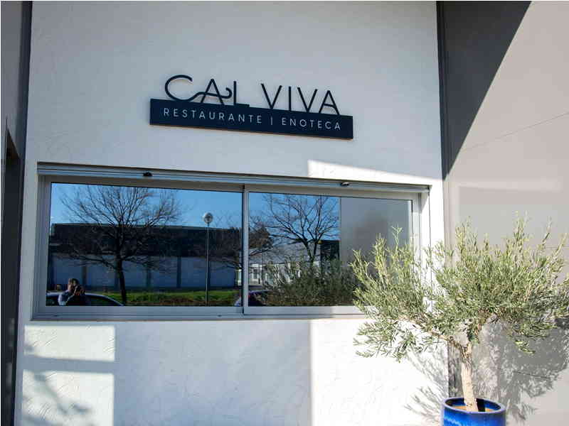 Cal Viva Detapasconchencho