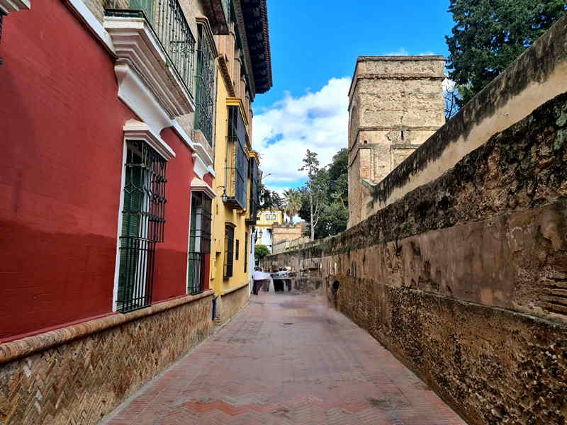 Restaurante Sal Gorda Halo en Sevilla - Menú 2024, opiniones, precios y  reserva