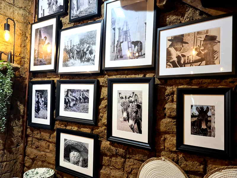 Casa Ferrer. Detapasconchencho