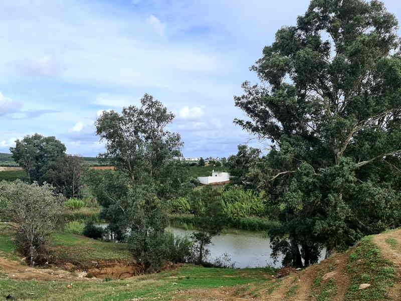 Restaurante Huerta del Mayorazgo. Detapasconchencho