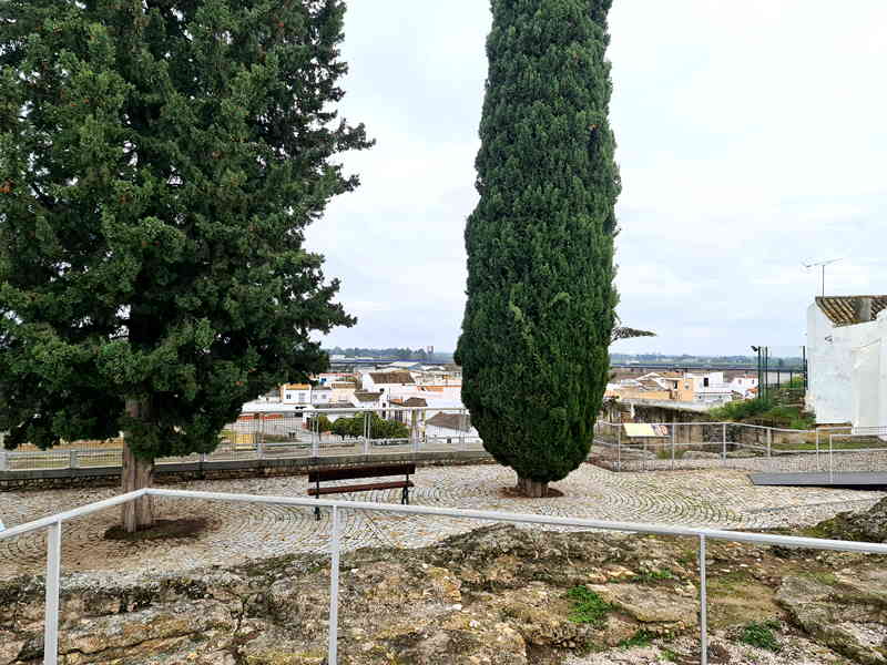 Bodega El Mirador. Detapasconchencho