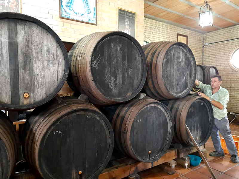Bodega la Perdiz. Detapasconchencho