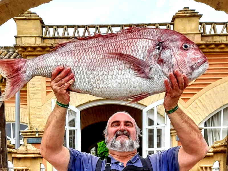 Restaurante La Pescadería. Detapasconchencho