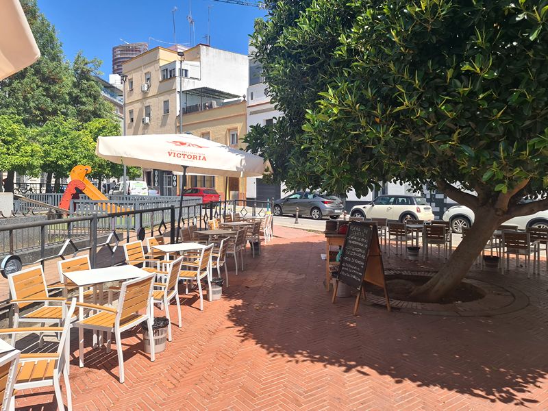 El Mercader de Chapina. Detapasconchencho
