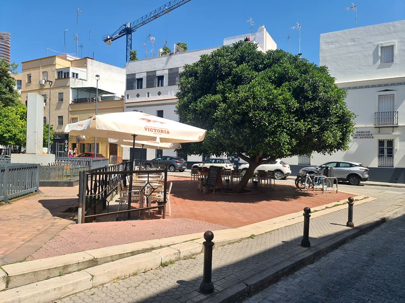 El Mercader de Chapina. Detapasconchencho