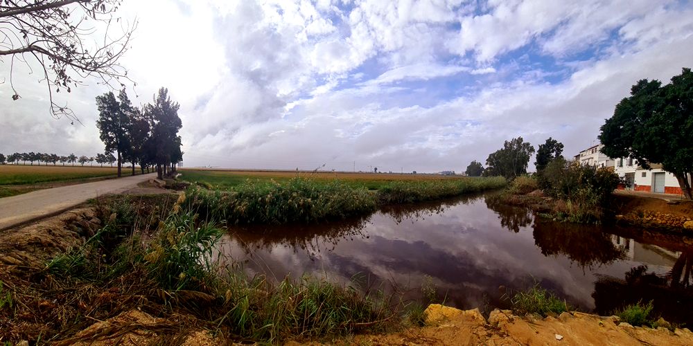 Ruta Gastronómica por el Bajo Guadalquivir. Detapasconchencho