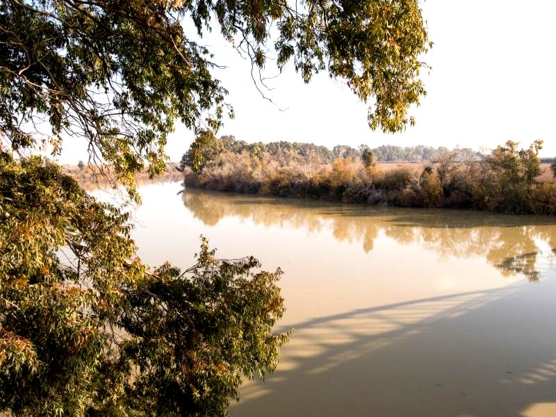 Ruta Gastronómica por el Bajo Guadalquivir. Detapasconchencho