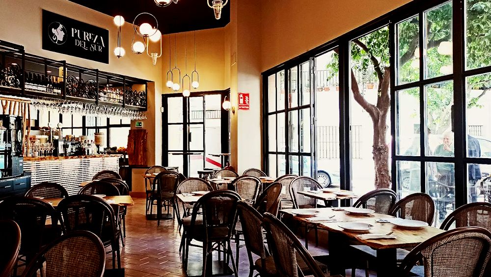 Pureza del Sur. Detapasconchencho