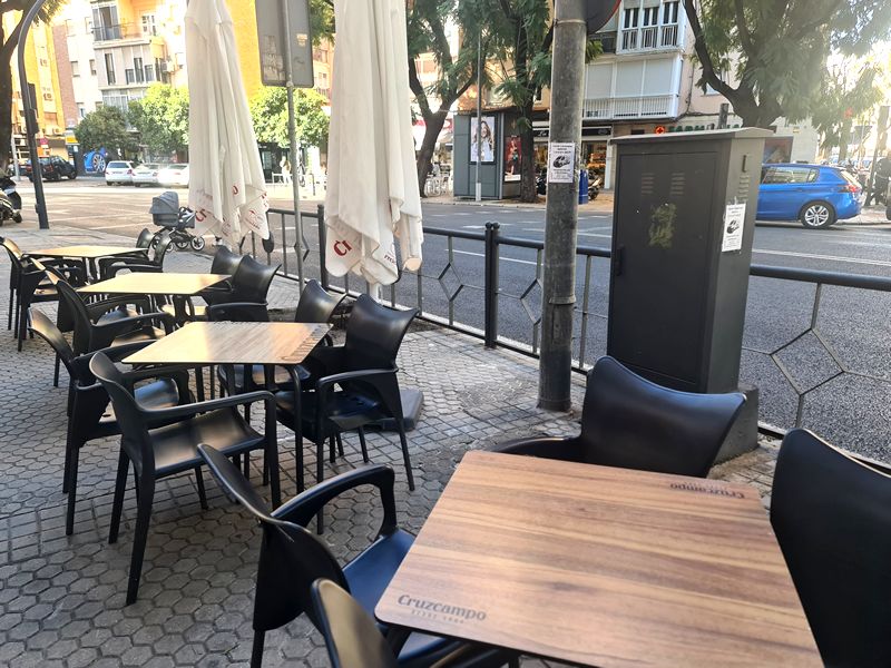 Ombú Los Remedios. Detapasconchencho