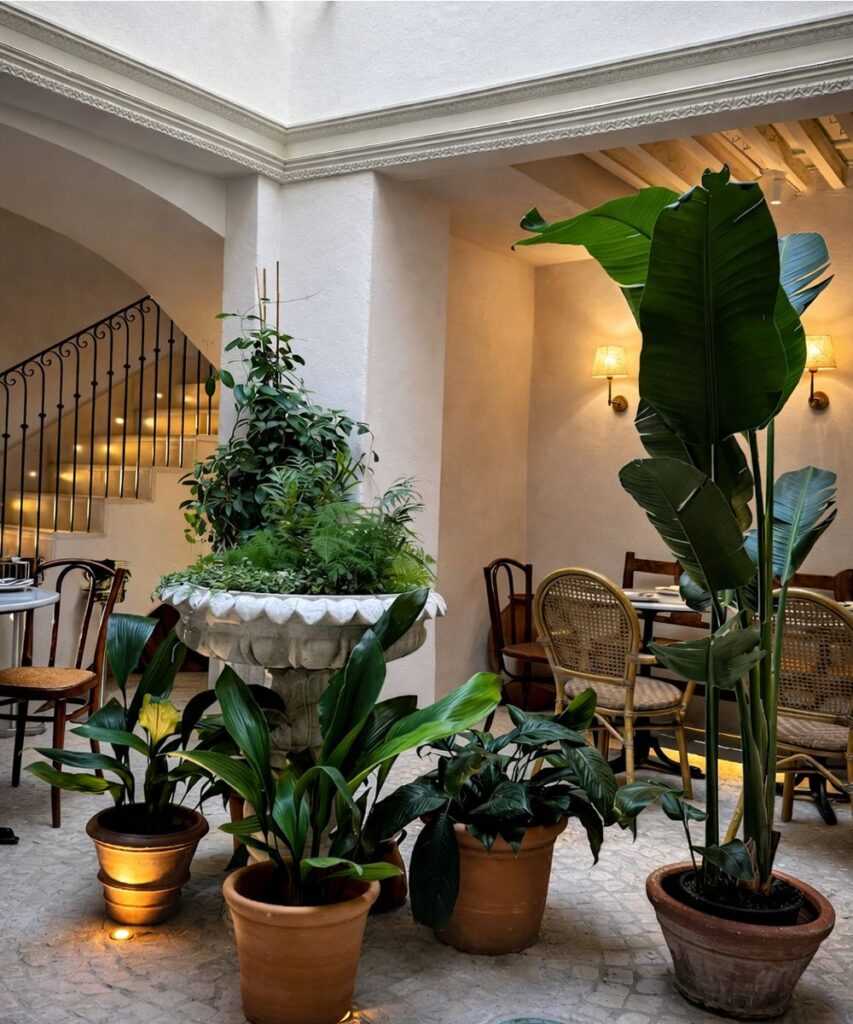 Casa Mikva. Detapasconchencho