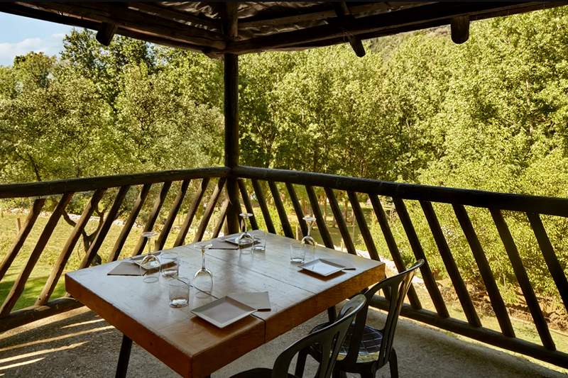 5 restaurantes de Sevilla que merecen el viaje. Detapasconchencho