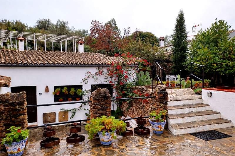 5 restaurantes de Sevilla que merecen el viaje. Detapasconchencho