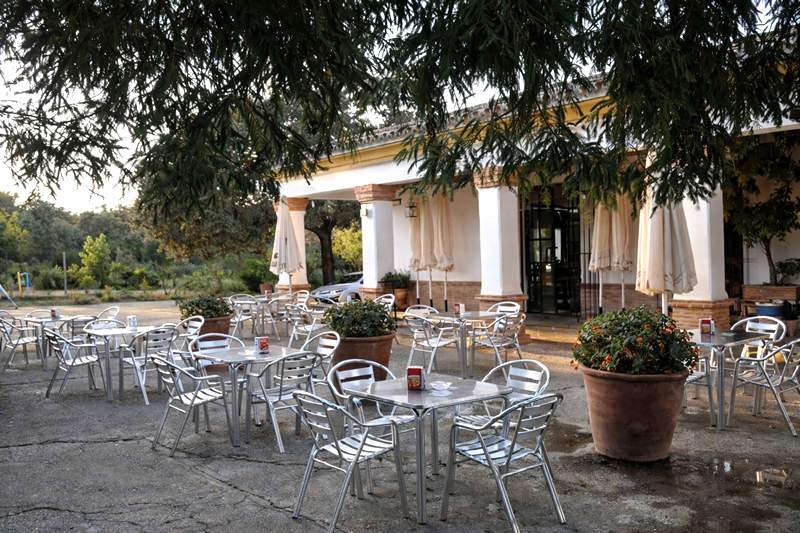 Restaurante Los Álamos. Detapasconchencho