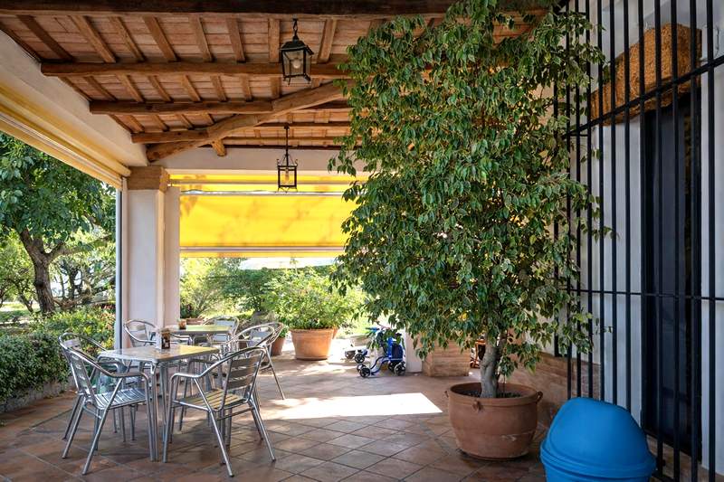 Restaurante Los Álamos. Detapasconchencho