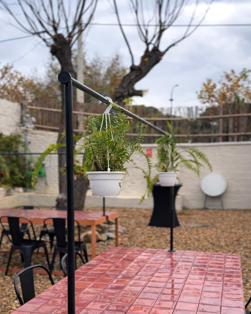 Mala Casa & Club. Detapasconchencho